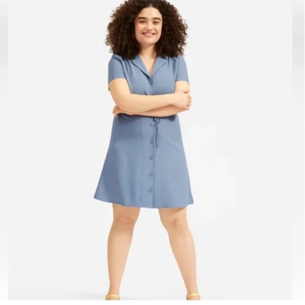Everlane Blue Collar Summer dress